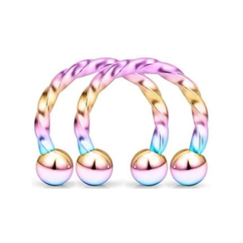 Twisted Rainbow Stainless Steel Horseshoe Earrings